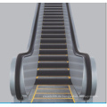 600mm, 800mm, 1000mm Stufenbreite Vvvf Schwere Rolltreppe